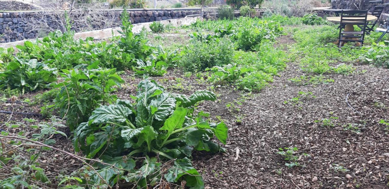 Casa Rural Finca Las Dulces Chío 외부 사진
