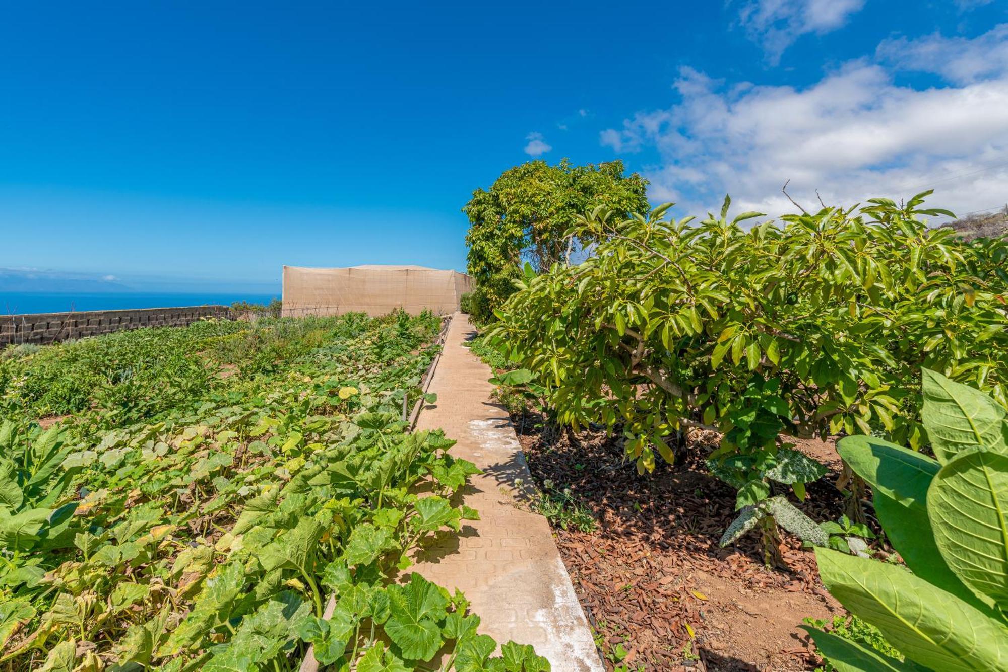 Casa Rural Finca Las Dulces Chío 외부 사진